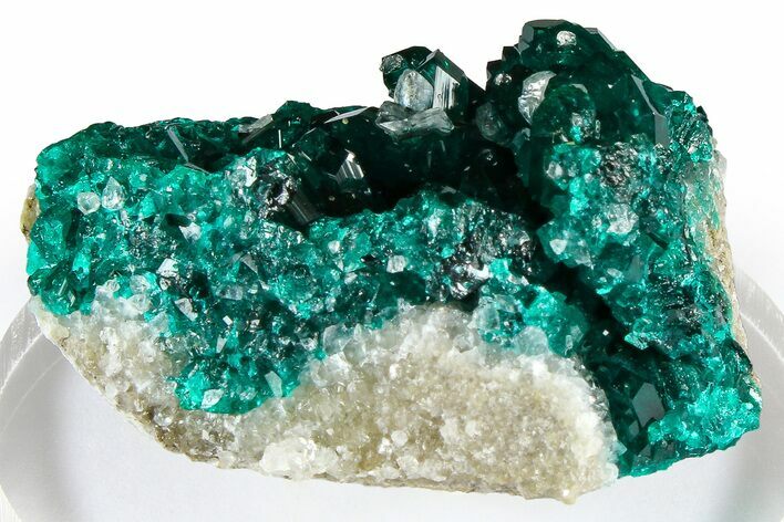Emerald-Green Dioptase Crystal Cluster - Congo #372195